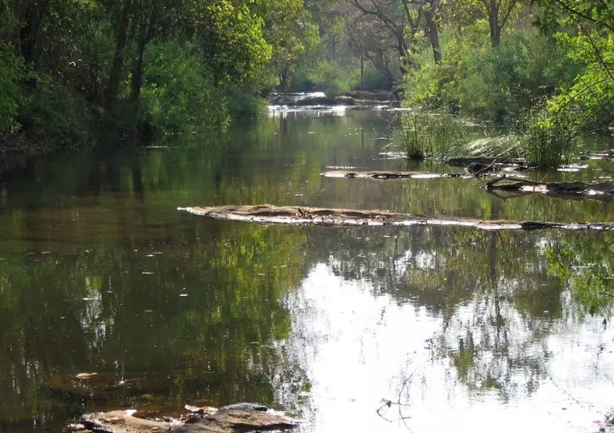 Lilongwe Nature Sanctuary, Lilongwe, Central Region, Malawi